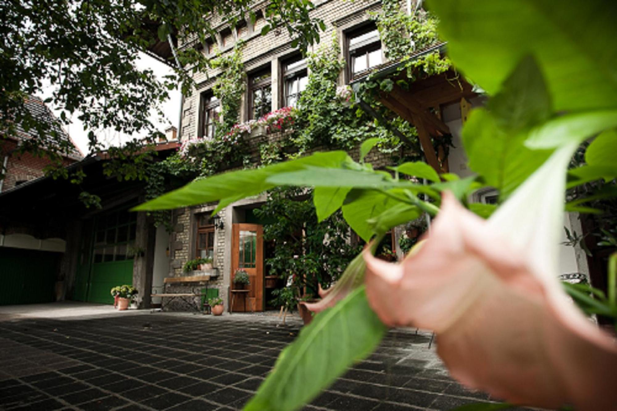 Gaestehaus Guntersblum Bagian luar foto