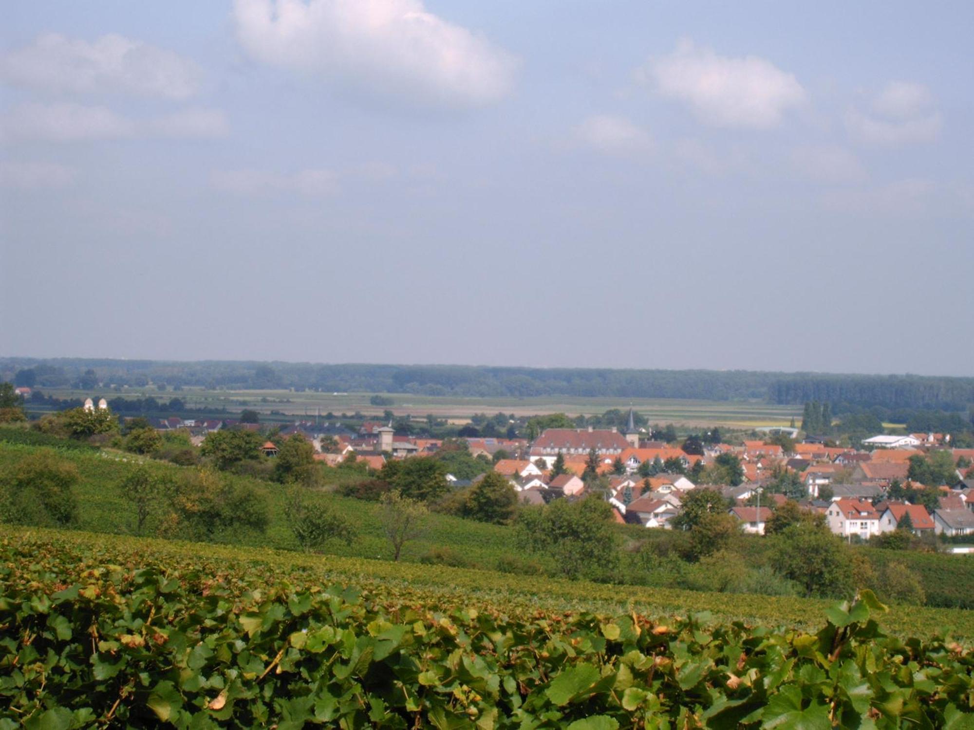 Gaestehaus Guntersblum Bagian luar foto