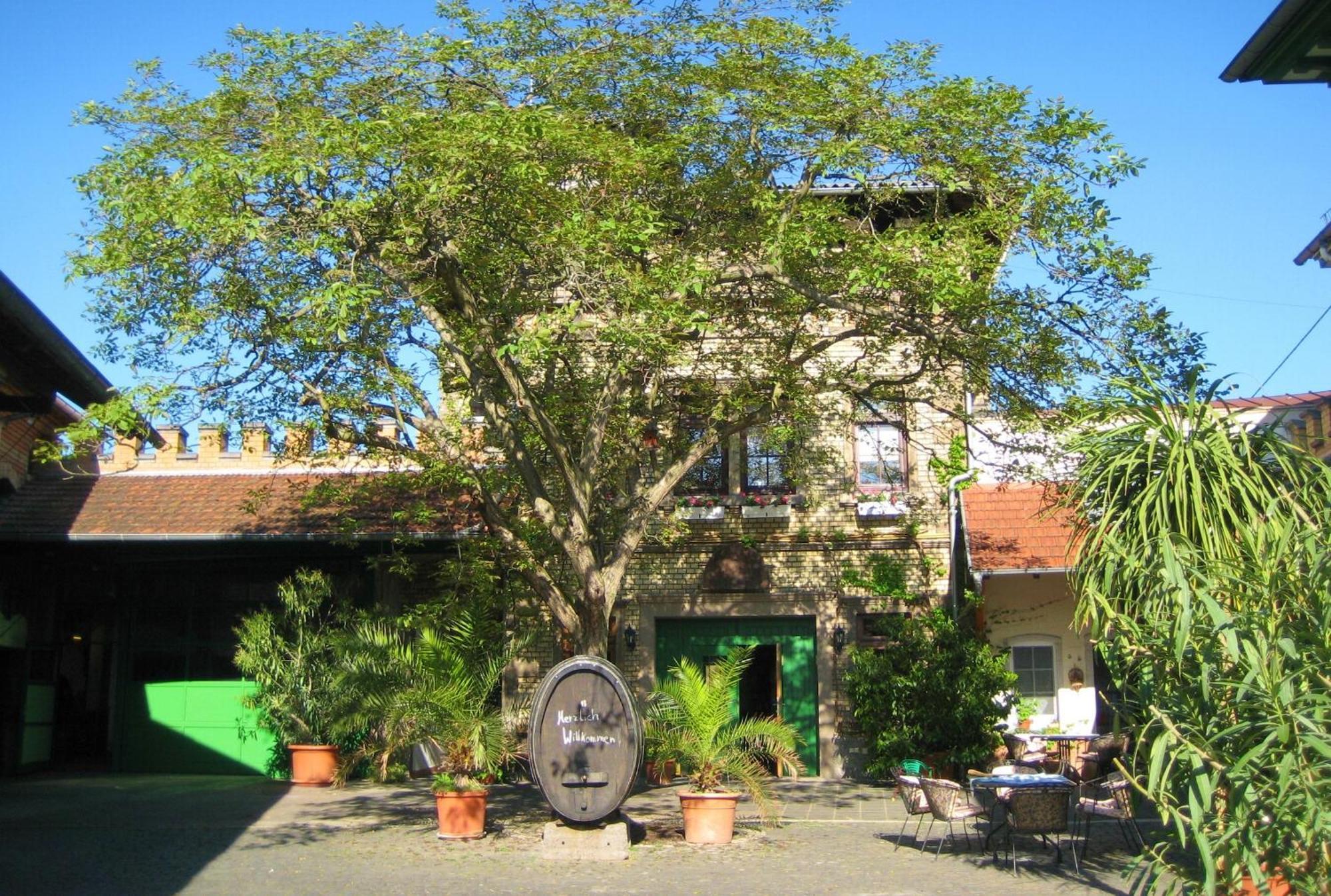 Gaestehaus Guntersblum Bagian luar foto